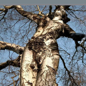 the last eclipse (Explicit)