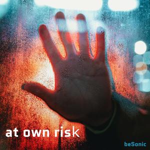 At Own Risk (Original Mix)