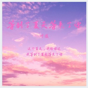 等到了夏天等来了你 (纯音乐)