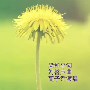 梦想开花
