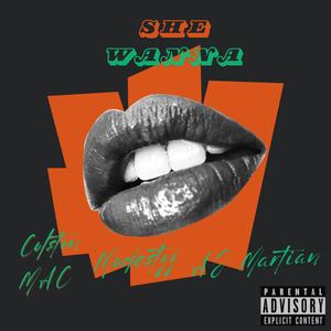 She Wanna (feat. Modestyy & A.J. Martian) (Explicit)