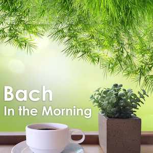 Bach In The Morning