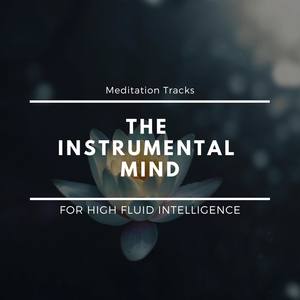 The Instrumental Mind - Meditation Tracks For High Fluid Intelligence