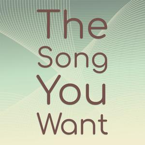 The Song You Want