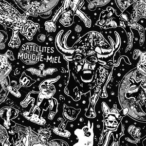 Satellites