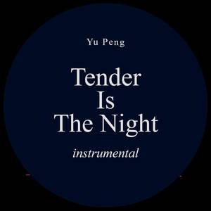 Tender is the night (Inst.)