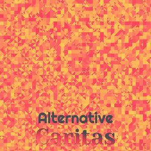 Alternative Caritas