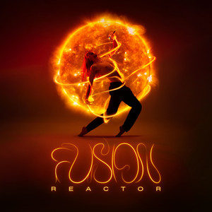 Fusion Reactor