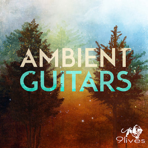 Ambient Guitars