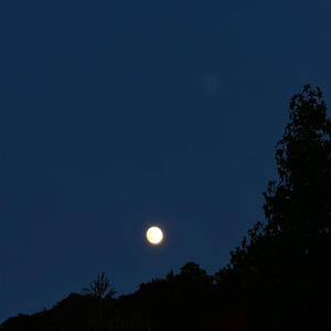 Next Week (feat. bnion)