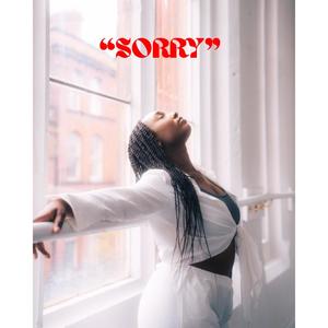 Sorry (Poem)