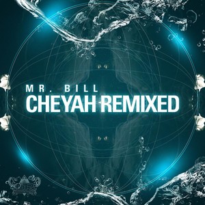 Mr. Bill - Cheyah - remix (Haywyre Remix)