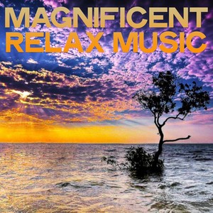 Magnificent Relax Music (Lounge Music Best Selection)