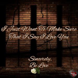 I Just Want To Make Sure That I Say I Love You