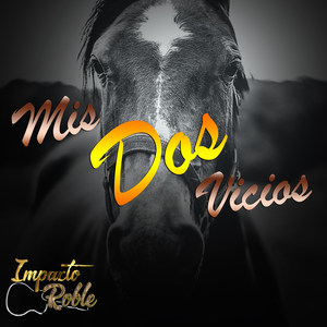 Mis Dos Vicios