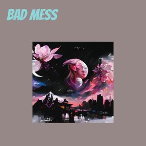 Bad Mess