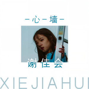 谢佳会 - 心墙
