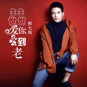 生生世世爱你爱到老封面