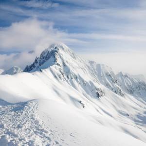 DON´T FALLING IN LOVE