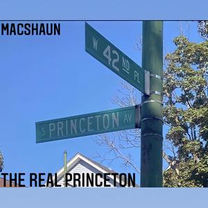 The Real Princeton (Explicit)