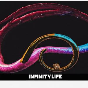 Infinity Life