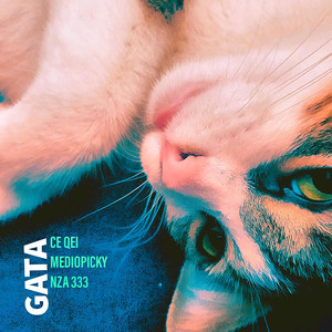 Gata (Explicit)