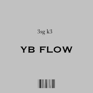 YB flow (feat. 3sg k3) [Explicit]