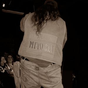 the bottleshop didn't stock the beers i wanted so i went home sober (Explicit)
