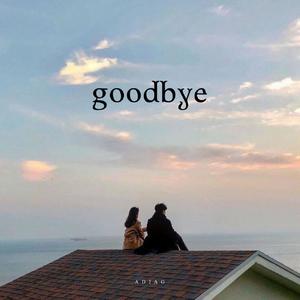 goodbye