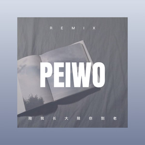 把悲伤留给自己 (Remix)