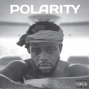 Polarity (Explicit)