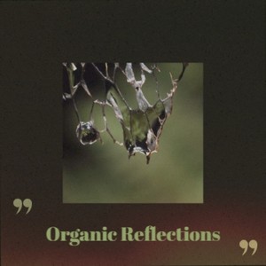 Organic Reflections