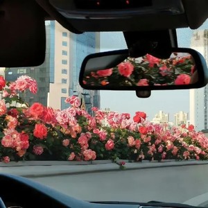 林希泽 - 星语心愿 (深情男声版)