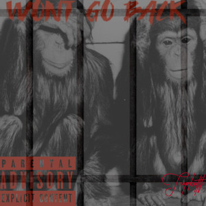 Wont Go Back (Explicit)