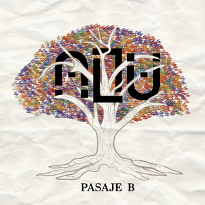 Pasaje B