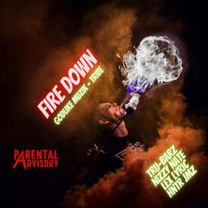 Fire Down (feat. Nizzy Nate, Lex Lyric & Hntr Jmz) (Explicit)