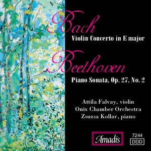 Violin Concerto in E Major, BWV 1042 - I. Allegro