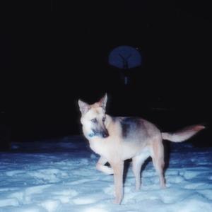 sorry im not who you wanted me to be