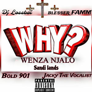 Why Wenza Njalo (feat. Bold 901, Blesser Famm, Jacky The Vocalist & Sandi LANDS)