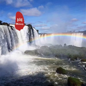 不死之身 (DJ版)