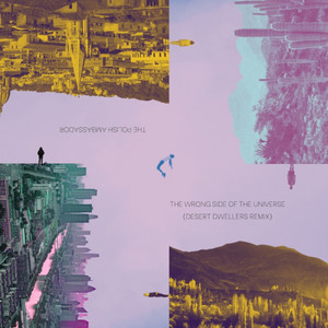 The Polish Ambassador - The Wrong Side of the Universe (Desert Dwellers Remix)