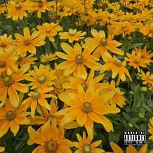 Freestyle (Explicit)