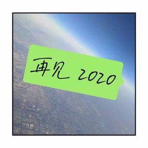 再见 2020
