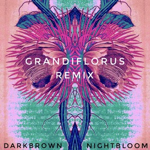 Night Bloom (Grandiflorus Remix)
