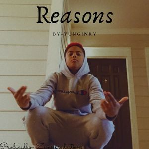 Reasons (Explicit)