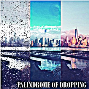 Palindrome Of Dropping