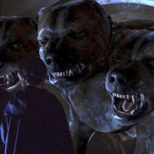 hounds (feat. sheku. & staggy) (Explicit)