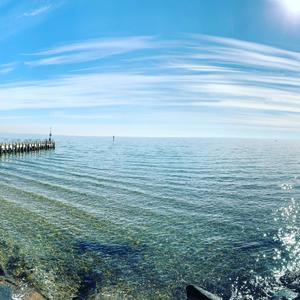 The Sounds of the Beach