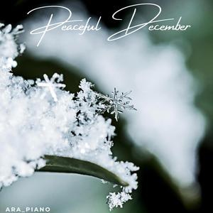 Peaceful December
