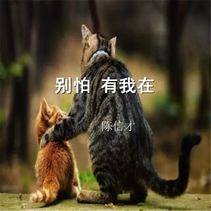 别怕有我在伴奏